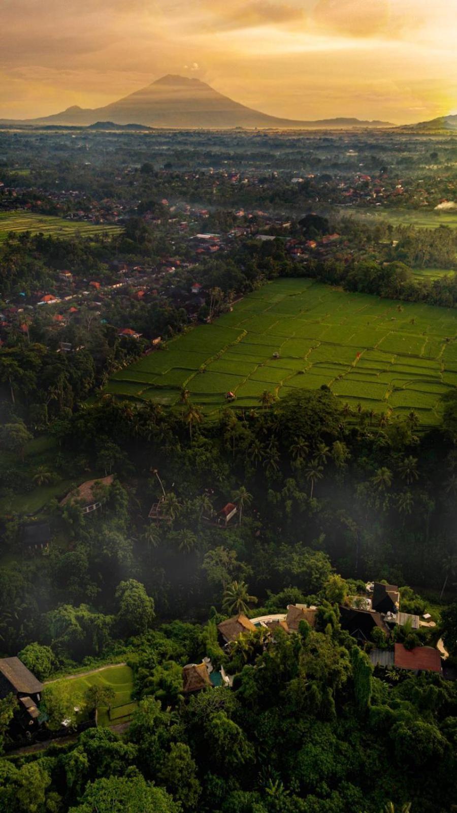 Villa Cella Bella Ubud Exteriér fotografie